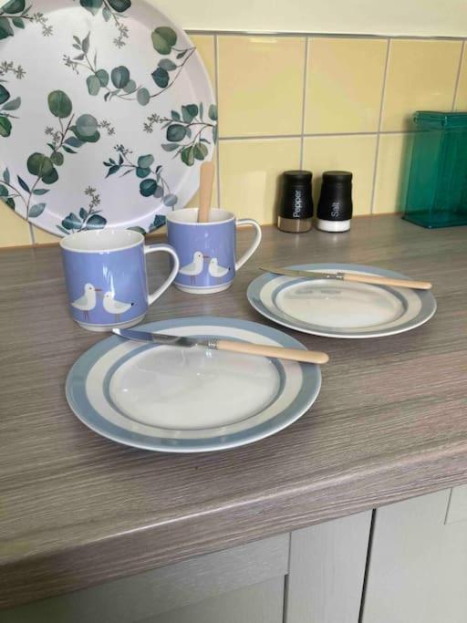 Spacious Semi-Detached Southsea House, Free Parking On Drive Πόρτσμουθ Εξωτερικό φωτογραφία